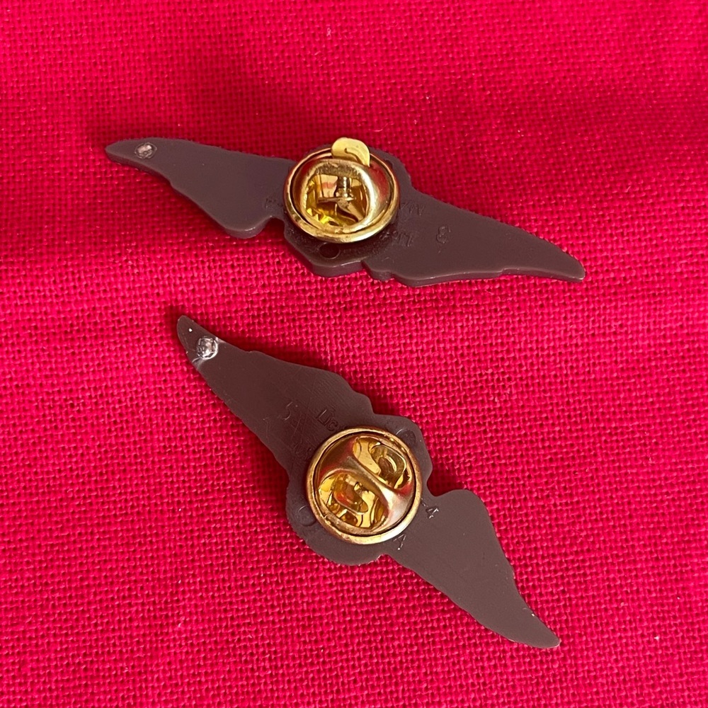 Smokey Bear Winged Pins - Picture 4 of 5